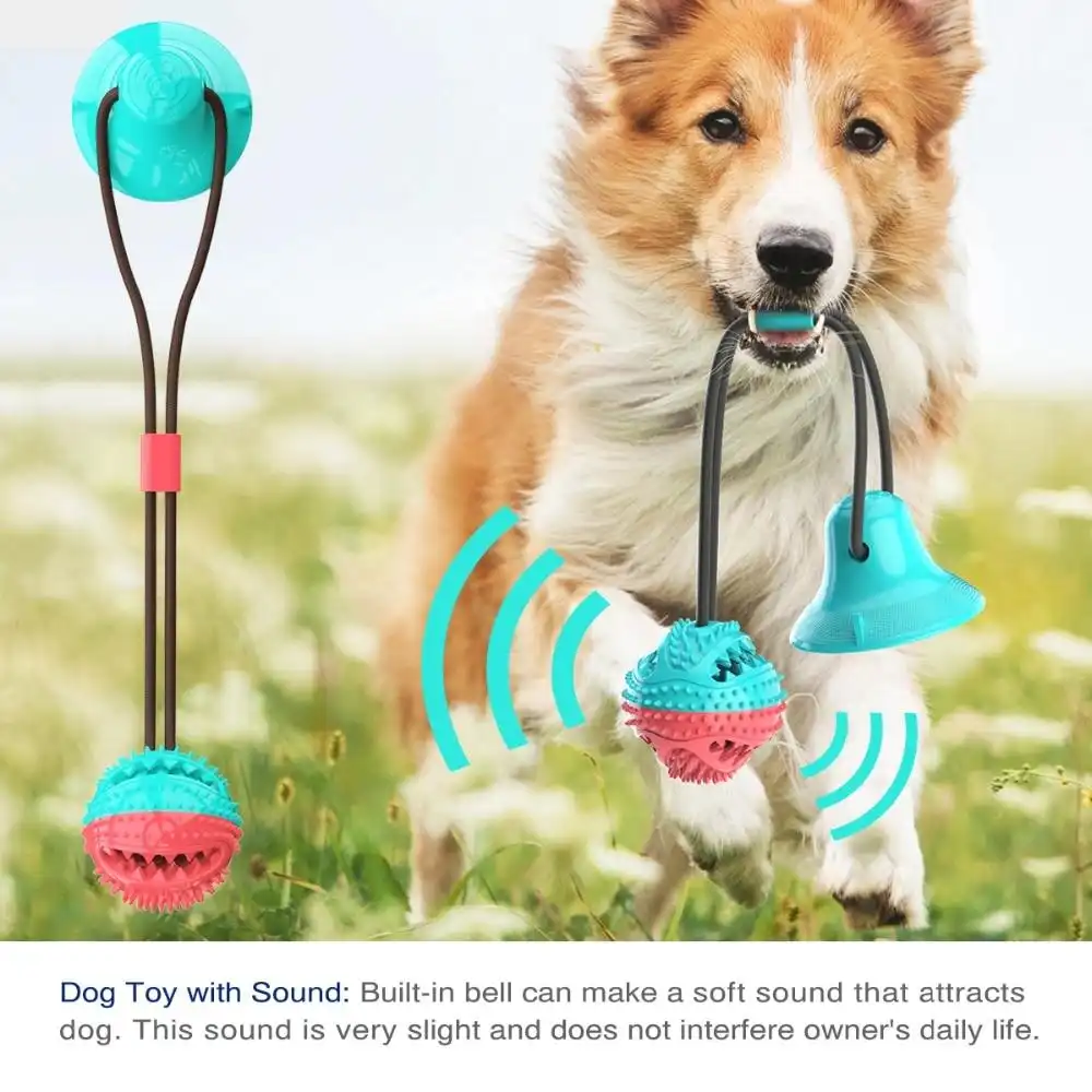 The Chewy Ball - Jouet pour le nettoyage des dents