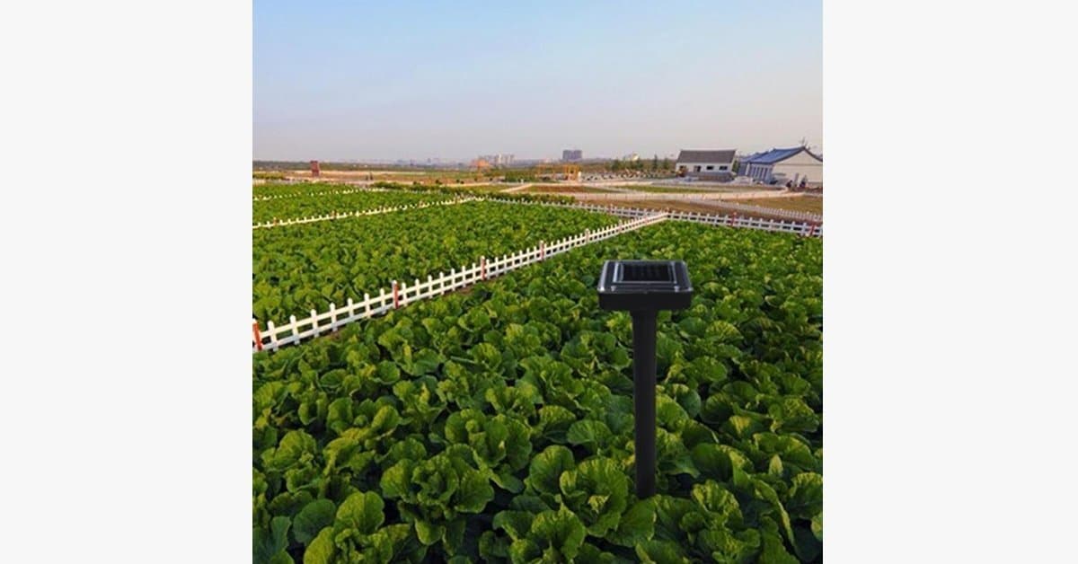 Protecteur de jardin solaire écologique – Image 2