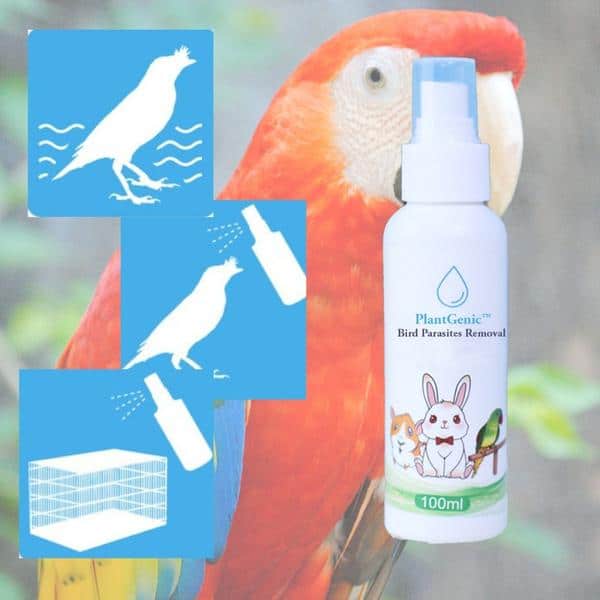 Élimination des parasites des oiseaux PlantGenic – Image 3