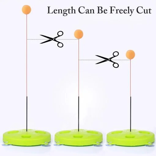 Entraîneur de tennis de table – Image 4