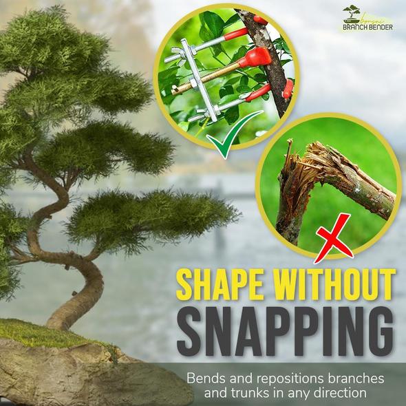 Cintreuse de branches de bonsaï – Image 4