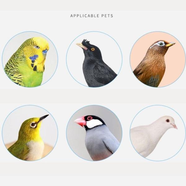 Élimination des parasites des oiseaux PlantGenic – Image 4