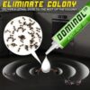 Gel anti-fourmis Dominol