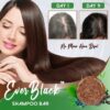 Barre de shampoing Ever Black