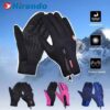 Gants d'hirondelle